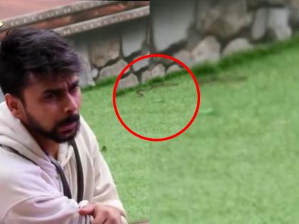 Snake Spotted Inside Bigg Boss OTT 3 House Angers Lovekesh Kataria's ...