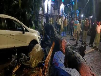 Pune: 49-Year-Old Man Dies in Karvenagar After Tree Branch Falls on Him While Riding Bike | Pune: 49-Year-Old Man Dies in Karvenagar After Tree Branch Falls on Him While Riding Bike Pune: 49-Year-Old Man Dies in Karvenagar After Tree Branch Falls on Him While Riding Bike | Pune: 49-Year-Old Man Dies in Karvenagar After Tree Branch Falls on Him While Riding Bike