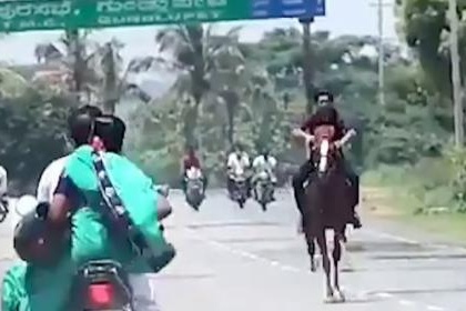 BJP MLA's son violates lockdown rules as he rides a horse on a highway without mask | BJP MLA's son violates lockdown rules as he rides a horse on a highway without mask