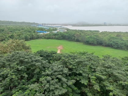 Navi Mumbai: CIDCO Files Review Petition Against NGT Order Restricting Construction on Nerul Plot | Navi Mumbai: CIDCO Files Review Petition Against NGT Order Restricting Construction on Nerul Plot