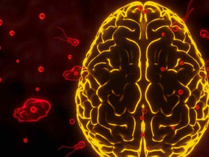 Kerala Health Alert: Rare ‘Brain-Eating Amoeba’ Claims Nine-Year-Old as Kozhikode Reports Multiple Cases | Kerala Health Alert: Rare ‘Brain-Eating Amoeba’ Claims Nine-Year-Old as Kozhikode Reports Multiple Cases