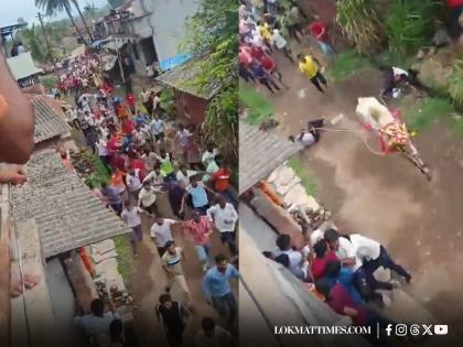 Bendur 2025: Bull on the Loose Sparks Chaos at Festival in Kolhapur; Video Surfaces | Bendur 2025: Bull on the Loose Sparks Chaos at Festival in Kolhapur; Video Surfaces Bendur 2025: Bull on the Loose Sparks Chaos at Festival in Kolhapur; Video Surfaces | Bendur 2025: Bull on the Loose Sparks Chaos at Festival in Kolhapur; Video Surfaces