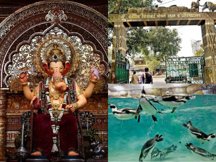 Mumbai: Byculla Zoo Revises Weekly Holiday, Will Remain Open On Ganesh Chaturthi 2025 | Mumbai: Byculla Zoo Revises Weekly Holiday, Will Remain Open On Ganesh Chaturthi 2025 Mumbai: Byculla Zoo Revises Weekly Holiday, Will Remain Open On Ganesh Chaturthi 2025 | Mumbai: Byculla Zoo Revises Weekly Holiday, Will Remain Open On Ganesh Chaturthi 2025