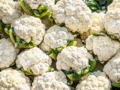 UP: Farmer dumps 10 quintal cauliflower on road as traders offer Rs 1 per kg for produce | UP: Farmer dumps 10 quintal cauliflower on road as traders offer Rs 1 per kg for produce