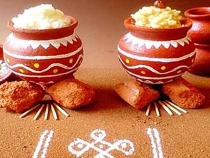 Pongal 2024: History and Significance of the Auspicious Festival | Pongal 2024: History and Significance of the Auspicious Festival