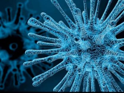 Chandipura Virus Claims Six Lives in Gujarat; 12 Cases Reported Since July 10, Says Health Minister | Chandipura Virus Claims Six Lives in Gujarat; 12 Cases Reported Since July 10, Says Health Minister Chandipura Virus Claims Six Lives in Gujarat; 12 Cases Reported Since July 10, Says Health Minister | Chandipura Virus Claims Six Lives in Gujarat; 12 Cases Reported Since July 10, Says Health Minister