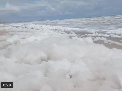 Chennai Water Pollution: Thick White Foam Covers Pattinapakkam Beach After Excess Water Released From Chembarambakkam Lake | Chennai Water Pollution: Thick White Foam Covers Pattinapakkam Beach After Excess Water Released From Chembarambakkam Lake Chennai Water Pollution: Thick White Foam Covers Pattinapakkam Beach After Excess Water Released From Chembarambakkam Lake | Chennai Water Pollution: Thick White Foam Covers Pattinapakkam Beach After Excess Water Released From Chembarambakkam Lake
