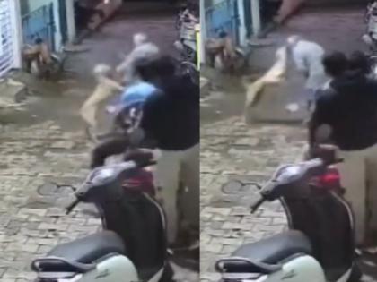 Chhatrapati Sambhajinagar: Stray Dog Attacks Elderly Man, Bites Him on Face (Watch Video) | Chhatrapati Sambhajinagar: Stray Dog Attacks Elderly Man, Bites Him on Face (Watch Video) Chhatrapati Sambhajinagar: Stray Dog Attacks Elderly Man, Bites Him on Face (Watch Video) | Chhatrapati Sambhajinagar: Stray Dog Attacks Elderly Man, Bites Him on Face (Watch Video)