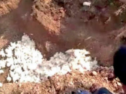 Coronavirus Scare: Farmer buries 6,000 chickens alive in Karnataka | Coronavirus Scare: Farmer buries 6,000 chickens alive in Karnataka
