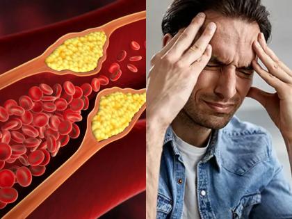 Is Low Cholesterol Dangerous? Signs, Causes, and Prevention Tips | Is Low Cholesterol Dangerous? Signs, Causes, and Prevention Tips Is Low Cholesterol Dangerous? Signs, Causes, and Prevention Tips | Is Low Cholesterol Dangerous? Signs, Causes, and Prevention Tips