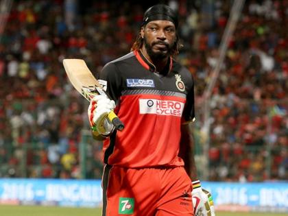 "Players felt left out": Chris Gayle makes shocking revelation on RCB's team culture | "Players felt left out": Chris Gayle makes shocking revelation on RCB's team culture