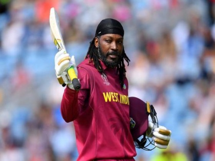 Chris Gayle opts out of India tour and Big Bash League | Chris Gayle opts out of India tour and Big Bash League