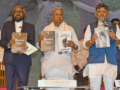 Nine Task Forces Formed To Prevent Human Elephant Conflict In Karnataka | Nine Task Forces Formed To Prevent Human Elephant Conflict In Karnataka Nine Task Forces Formed To Prevent Human Elephant Conflict In Karnataka | Nine Task Forces Formed To Prevent Human Elephant Conflict In Karnataka