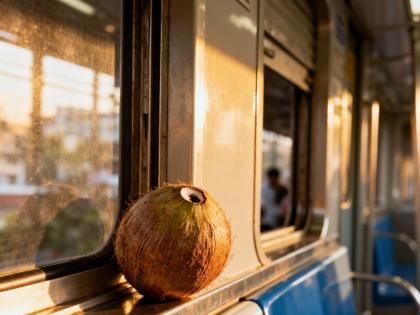 Mumbai: 31-Year-Old Pedestrian Dies After Coconut Thrown from Local Train Hits Him Near Bhayandar Creek Bridge | Mumbai: 31-Year-Old Pedestrian Dies After Coconut Thrown from Local Train Hits Him Near Bhayandar Creek Bridge