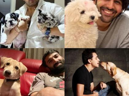 National Dog Day: Kartik Aaryan, Varun Dhawan, Karan Kundrra Celebrate Their Furry Friends