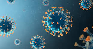 Mumbai: BMC Confirms Zero New COVID-19 Cases in Mumbai, No Concerning Variants Detected | Mumbai: BMC Confirms Zero New COVID-19 Cases in Mumbai, No Concerning Variants Detected