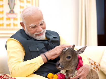 WATCH: PM Modi Welcomes New Member 'Deepjyoti' at His Official Residence 7 Lok Kalyan Marg, Shares Heartwarming Video