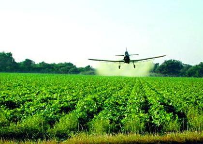 Govt to hike subsidy on pesticides? | Govt to hike subsidy on pesticides? Govt to hike subsidy on pesticides? | Govt to hike subsidy on pesticides?