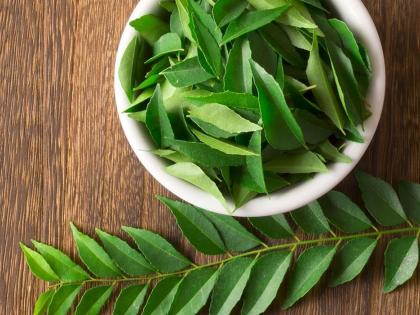 5 Delicious Curry Leaf Mixes That Boost Calcium and Bone Strength | 5 Delicious Curry Leaf Mixes That Boost Calcium and Bone Strength 5 Delicious Curry Leaf Mixes That Boost Calcium and Bone Strength | 5 Delicious Curry Leaf Mixes That Boost Calcium and Bone Strength
