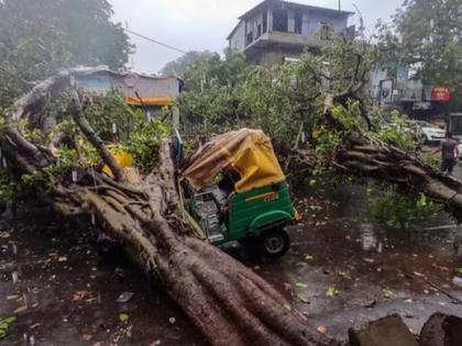 Mumbai: 70-year-old woman killed after tree branch falls on her | Mumbai: 70-year-old woman killed after tree branch falls on her