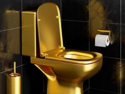 18-carat gold toilet stolen from English mansion where Winston Churchill was born | 18-carat gold toilet stolen from English mansion where Winston Churchill was born