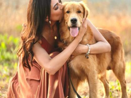 Kashika Kapoor Adopts 15 Stray Dogs, Dedicates an Entire Floor of Her Home to Them | Kashika Kapoor Adopts 15 Stray Dogs, Dedicates an Entire Floor of Her Home to Them Kashika Kapoor Adopts 15 Stray Dogs, Dedicates an Entire Floor of Her Home to Them | Kashika Kapoor Adopts 15 Stray Dogs, Dedicates an Entire Floor of Her Home to Them