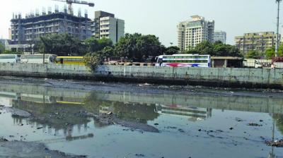 Dahisar River Revival Stalled by Slum Issue | Dahisar River Revival Stalled by Slum Issue