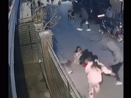 Shocking Dog Attack in Delhi: 2-Year-Old Attacked By Pet Dogs, Case Registered Against Owner After Video Surfaces | Shocking Dog Attack in Delhi: 2-Year-Old Attacked By Pet Dogs, Case Registered Against Owner After Video Surfaces Shocking Dog Attack in Delhi: 2-Year-Old Attacked By Pet Dogs, Case Registered Against Owner After Video Surfaces | Shocking Dog Attack in Delhi: 2-Year-Old Attacked By Pet Dogs, Case Registered Against Owner After Video Surfaces