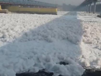Delhi Pollution: Toxic Foam Floats on Yamuna River in Kalindi Kunj; AQI at 293 | Delhi Pollution: Toxic Foam Floats on Yamuna River in Kalindi Kunj; AQI at 293 Delhi Pollution: Toxic Foam Floats on Yamuna River in Kalindi Kunj; AQI at 293 | Delhi Pollution: Toxic Foam Floats on Yamuna River in Kalindi Kunj; AQI at 293