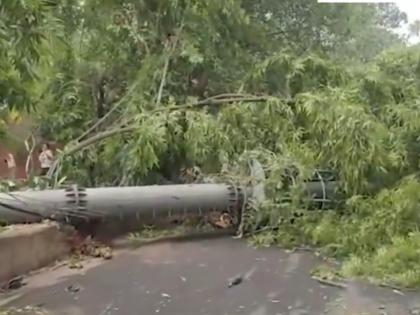 Delhi Tower Collapse: 100-Foot Mobile Tower Falls Amid Strong Storm in Safdarjung Enclave (Watch Video) | Delhi Tower Collapse: 100-Foot Mobile Tower Falls Amid Strong Storm in Safdarjung Enclave (Watch Video) Delhi Tower Collapse: 100-Foot Mobile Tower Falls Amid Strong Storm in Safdarjung Enclave (Watch Video) | Delhi Tower Collapse: 100-Foot Mobile Tower Falls Amid Strong Storm in Safdarjung Enclave (Watch Video)