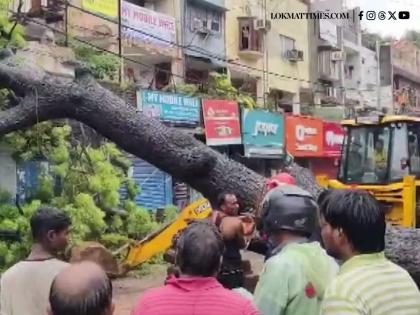 Delhi Rains: One Dead, One Injured After a 100-Year-Old Tree Falls in Kalkaji, Watch CCTV Video | Delhi Rains: One Dead, One Injured After a 100-Year-Old Tree Falls in Kalkaji, Watch CCTV Video Delhi Rains: One Dead, One Injured After a 100-Year-Old Tree Falls in Kalkaji, Watch CCTV Video | Delhi Rains: One Dead, One Injured After a 100-Year-Old Tree Falls in Kalkaji, Watch CCTV Video