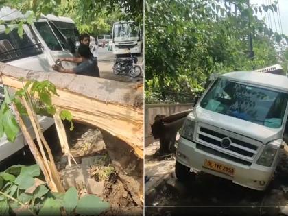 Delhi: 5 Killed, Trees Uprooted, Flights and Metro Delayed After Hailstorm Hits NCR | Delhi: 5 Killed, Trees Uprooted, Flights and Metro Delayed After Hailstorm Hits NCR Delhi: 5 Killed, Trees Uprooted, Flights and Metro Delayed After Hailstorm Hits NCR | Delhi: 5 Killed, Trees Uprooted, Flights and Metro Delayed After Hailstorm Hits NCR