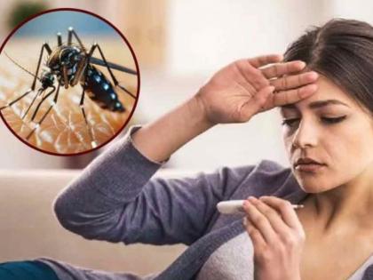 How to Tell If It’s Dengue: Symptoms That Go Beyond Normal Fever | How to Tell If It’s Dengue: Symptoms That Go Beyond Normal Fever