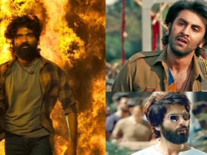 Dhanush, Shahid Kapoor to Aditya Roy Kapur: Actors Who Turned Heartbreak into Poetry | Dhanush, Shahid Kapoor to Aditya Roy Kapur: Actors Who Turned Heartbreak into Poetry
