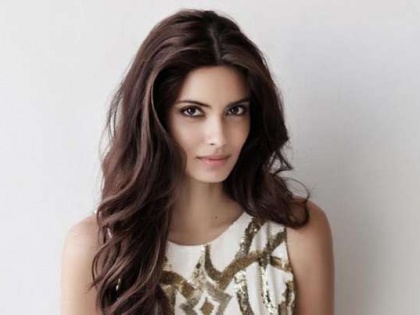 Diana Penty paired opposite Shahid Kapoor in Ali Abbas Zafar's next? | Diana Penty paired opposite Shahid Kapoor in Ali Abbas Zafar's next?