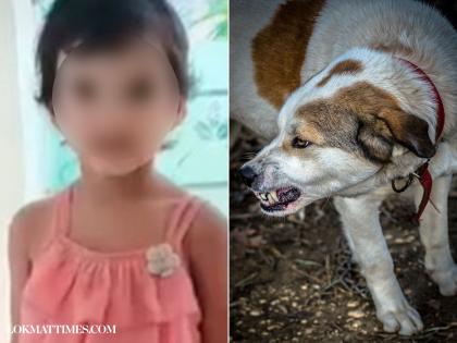 Dog Attack in Jalna: 4-Year-Old Girl Dies After Being Attacked by Stray Dogs in Ambad Chauphuli | Dog Attack in Jalna: 4-Year-Old Girl Dies After Being Attacked by Stray Dogs in Ambad Chauphuli Dog Attack in Jalna: 4-Year-Old Girl Dies After Being Attacked by Stray Dogs in Ambad Chauphuli | Dog Attack in Jalna: 4-Year-Old Girl Dies After Being Attacked by Stray Dogs in Ambad Chauphuli