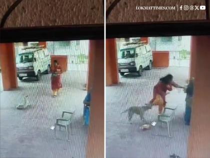 Dog Attack in Palghar: Stray Dog Bites Women in Housing Society; Video Goes Viral | Dog Attack in Palghar: Stray Dog Bites Women in Housing Society; Video Goes Viral Dog Attack in Palghar: Stray Dog Bites Women in Housing Society; Video Goes Viral | Dog Attack in Palghar: Stray Dog Bites Women in Housing Society; Video Goes Viral