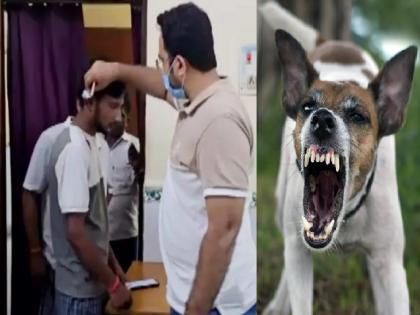 Bihar Horror: Angry Pet Dog Attacks Owner in Gopalganj, Severely Injures His Ear | Bihar Horror: Angry Pet Dog Attacks Owner in Gopalganj, Severely Injures His Ear Bihar Horror: Angry Pet Dog Attacks Owner in Gopalganj, Severely Injures His Ear | Bihar Horror: Angry Pet Dog Attacks Owner in Gopalganj, Severely Injures His Ear