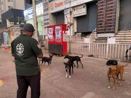Navi Mumbai: NMMC Mandates Dog Licenses for Pet Owners Under New Regulation | Navi Mumbai: NMMC Mandates Dog Licenses for Pet Owners Under New Regulation Navi Mumbai: NMMC Mandates Dog Licenses for Pet Owners Under New Regulation | Navi Mumbai: NMMC Mandates Dog Licenses for Pet Owners Under New Regulation