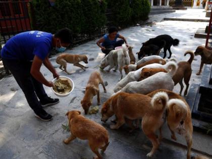 Mumbai: Harassing Citizens Who Feed Stray Animals Is Punishable, Says BMC | Mumbai: Harassing Citizens Who Feed Stray Animals Is Punishable, Says BMC Mumbai: Harassing Citizens Who Feed Stray Animals Is Punishable, Says BMC | Mumbai: Harassing Citizens Who Feed Stray Animals Is Punishable, Says BMC