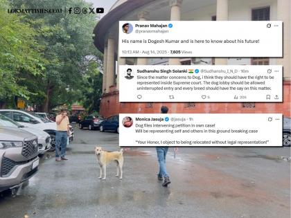 'His Name Is Dogesh': Dog Spotted in Supreme Court Premises During Stray Dog Hearing, Netizens Share Hilarious Jokes | 'His Name Is Dogesh': Dog Spotted in Supreme Court Premises During Stray Dog Hearing, Netizens Share Hilarious Jokes 'His Name Is Dogesh': Dog Spotted in Supreme Court Premises During Stray Dog Hearing, Netizens Share Hilarious Jokes | 'His Name Is Dogesh': Dog Spotted in Supreme Court Premises During Stray Dog Hearing, Netizens Share Hilarious Jokes