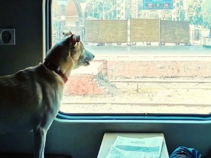 Rani Chennamma Express Introduces Family Cabins with Pet Travel from Sangli Station | Rani Chennamma Express Introduces Family Cabins with Pet Travel from Sangli Station Rani Chennamma Express Introduces Family Cabins with Pet Travel from Sangli Station | Rani Chennamma Express Introduces Family Cabins with Pet Travel from Sangli Station