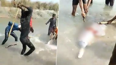 Rare species of Dolphin beaten to death in UP, shocking video footage goes viral! | Rare species of Dolphin beaten to death in UP, shocking video footage goes viral!