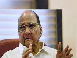 NCP chief Sharad Pawar says promote Marathi dialects | NCP chief Sharad Pawar says promote Marathi dialects