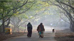 Minimum temperature in Parbhani drops to 5.7 degrees Celsius | Minimum temperature in Parbhani drops to 5.7 degrees Celsius Minimum temperature in Parbhani drops to 5.7 degrees Celsius | Minimum temperature in Parbhani drops to 5.7 degrees Celsius