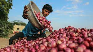 Farmers stop onion auction over drop in prices at Maha's Lasalgaon APMC | Farmers stop onion auction over drop in prices at Maha's Lasalgaon APMC