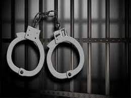 Maharashtra: Notorious criminal detained for one year in Nashik prison | Maharashtra: Notorious criminal detained for one year in Nashik prison