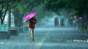 IMD predicts India to see normal rains during monsoon season | IMD predicts India to see normal rains during monsoon season