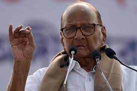 NCP workers celebrates after party committee passes resolution to reject Pawar’s decision to step down | NCP workers celebrates after party committee passes resolution to reject Pawar’s decision to step down