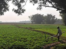 Maha tourism dept certifies 28 farms in Marathwada for agro tourism | Maha tourism dept certifies 28 farms in Marathwada for agro tourism